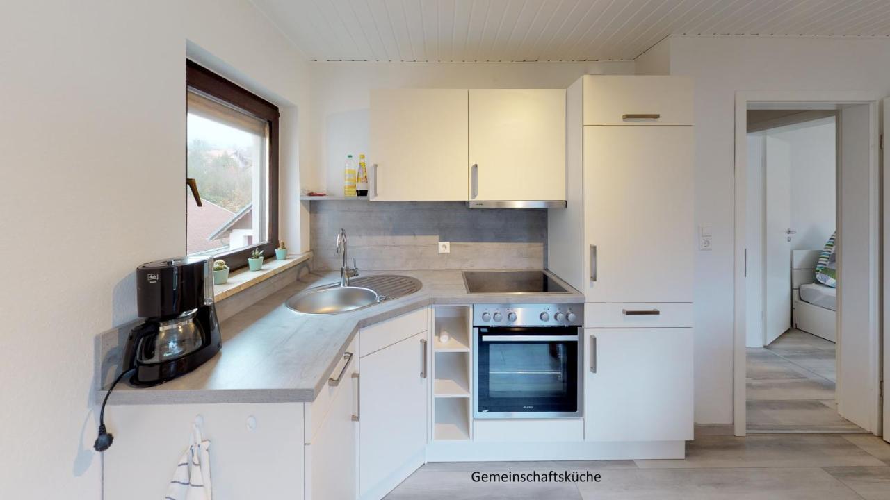 Apartments Mosbach 莫斯巴赫 外观 照片