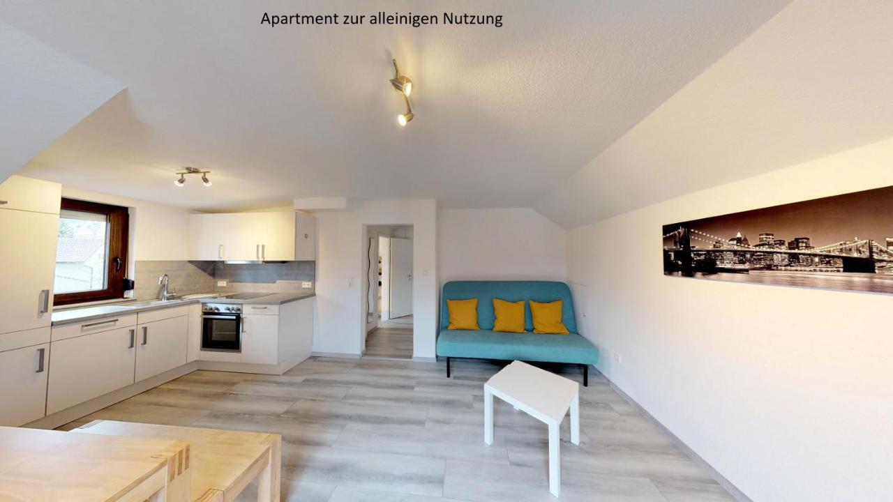 Apartments Mosbach 莫斯巴赫 外观 照片
